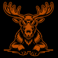 One Cool Moose