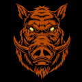 Boar Head