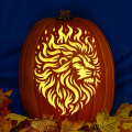 Fire Lion CO