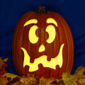 Jack O 249 CO