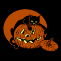 Cat Guarding Pumpkin 02