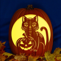 Kitty with Pumpkin CO