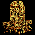 Terminator Robot