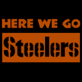 Pittsburgh Steelers 13
