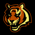 Cincinnati Bengals 01