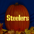 Pittsburgh Steelers 02 CO