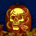Snake Through Skull CO