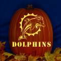 Miami Dolphins 02 CO