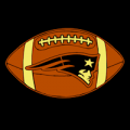 New England Patriots 09