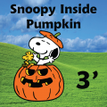 Snoopy Inside Pumpkin